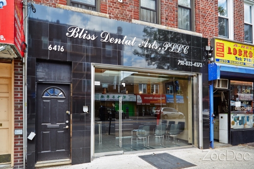 Bliss Dental Arts, PLLC in Kings County City, New York, United States - #1 Photo of Point of interest, Establishment, Health, Dentist
