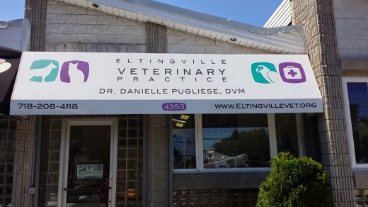 Eltingville Veterinary Practice in Staten Island City, New York, United States - #1 Photo of Point of interest, Establishment, Health, Veterinary care