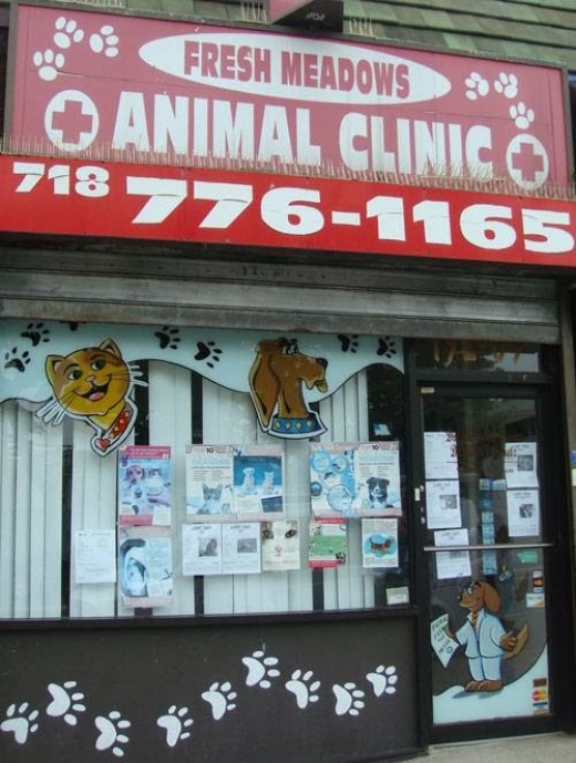 Fresh Meadows Animal Clinic in Flushing City, New York, United States - #2 Photo of Point of interest, Establishment, Veterinary care