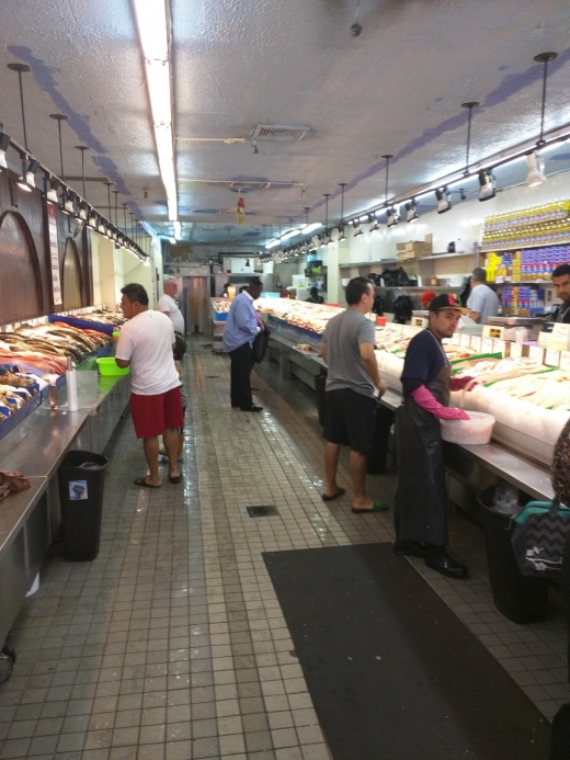 Photo by <br />
<b>Notice</b>:  Undefined index: user in <b>/home/www/activeuser/data/www/vaplace.com/core/views/default/photos.php</b> on line <b>128</b><br />
. Picture for Kings Fish & Seafood Market in Queens City, New York, United States - Food, Point of interest, Establishment