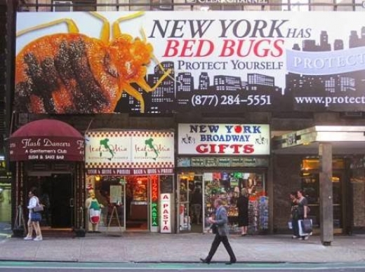 Brownstone Pest Control in West New York City, New Jersey, United States - #1 Photo of Point of interest, Establishment, Store, Home goods store