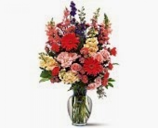 Photo by <br />
<b>Notice</b>:  Undefined index: user in <b>/home/www/activeuser/data/www/vaplace.com/core/views/default/photos.php</b> on line <b>128</b><br />
. Picture for Blosoms by Maude Florist, LLC in Elizabeth City, New Jersey, United States - Point of interest, Establishment, Store, Florist