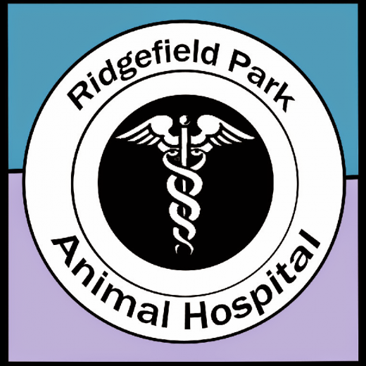 Photo by <br />
<b>Notice</b>:  Undefined index: user in <b>/home/www/activeuser/data/www/vaplace.com/core/views/default/photos.php</b> on line <b>128</b><br />
. Picture for Ridgefield Park Animal Hospital in Ridgefield Park City, New Jersey, United States - Food, Point of interest, Establishment, Store, Veterinary care