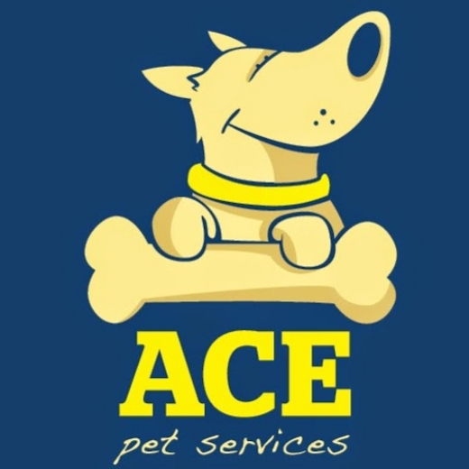 Ace Pet Services NY in Kings County City, New York, United States - #2 Photo of Point of interest, Establishment