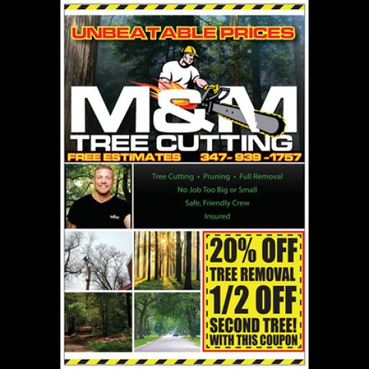 Photo by <br />
<b>Notice</b>:  Undefined index: user in <b>/home/www/activeuser/data/www/vaplace.com/core/views/default/photos.php</b> on line <b>128</b><br />
. Picture for UNBEATABLE PRICED Tree Service, Bronx, Manhattan, NYC, Specializing In Large Tree Removal, Pruning in Bronx City, New York, United States - Point of interest, Establishment