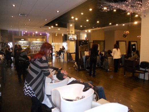 Maximus Spa / Salon in Carle Place City, New York, United States - #1 Photo of Point of interest, Establishment, Beauty salon