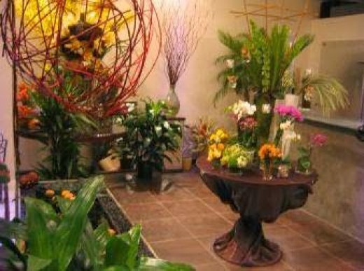 Franz James Floral Boutique in New York City, New York, United States - #1 Photo of Point of interest, Establishment, Store, Florist
