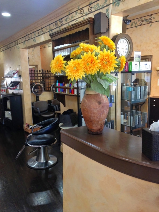 Vision Tomorrow Salon & Spa in Larchmont City, New York, United States - #1 Photo of Point of interest, Establishment, Health, Spa, Beauty salon, Hair care
