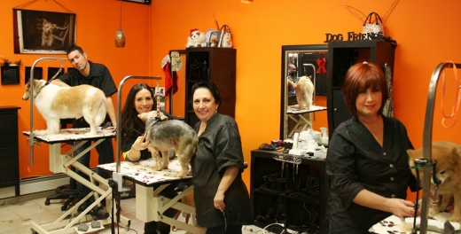 Photo by <br />
<b>Notice</b>:  Undefined index: user in <b>/home/www/activeuser/data/www/vaplace.com/core/views/default/photos.php</b> on line <b>128</b><br />
. Picture for Tiny Tails Grooming in Kings County City, New York, United States - Point of interest, Establishment