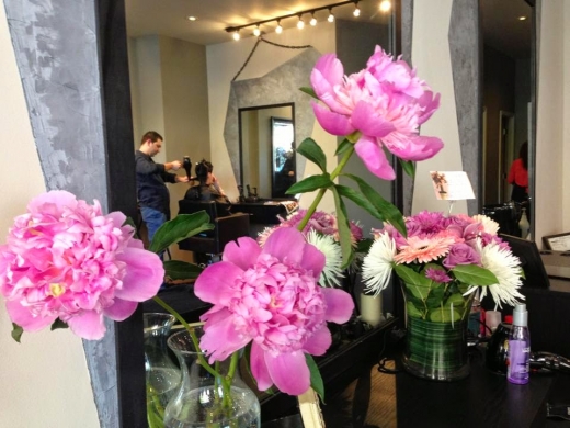 Bellagio Beauty Hair Salon in Kings County City, New York, United States - #3 Photo of Point of interest, Establishment, Hair care