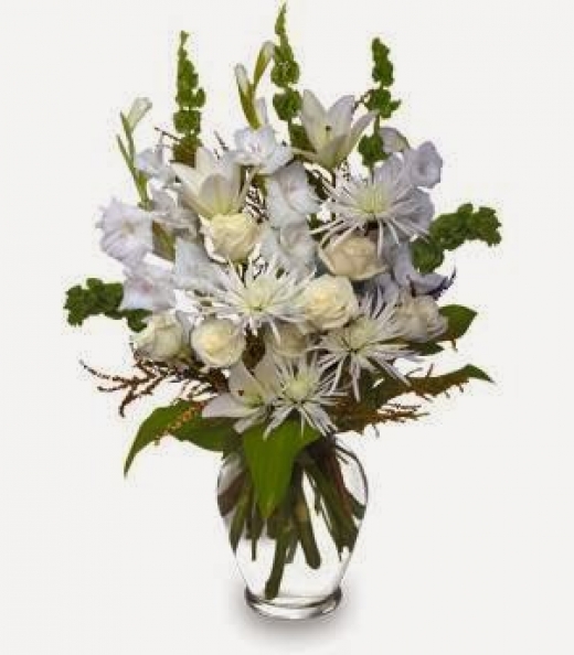 Photo by <br />
<b>Notice</b>:  Undefined index: user in <b>/home/www/activeuser/data/www/vaplace.com/core/views/default/photos.php</b> on line <b>128</b><br />
. Picture for Blosoms by Maude Florist, LLC in Elizabeth City, New Jersey, United States - Point of interest, Establishment, Store, Florist