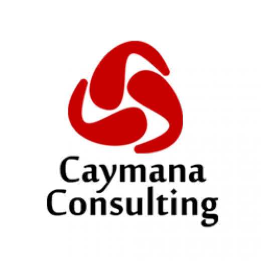 Caymana Consulting - Web Designer NYC in Fresh Meadows City, New York, United States - #3 Photo of Point of interest, Establishment