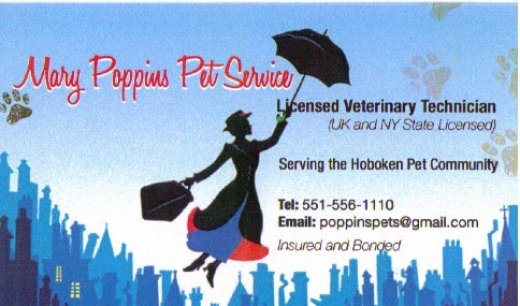 Mary Poppins Pet Service in Hoboken City, New Jersey, United States - #2 Photo of Point of interest, Establishment