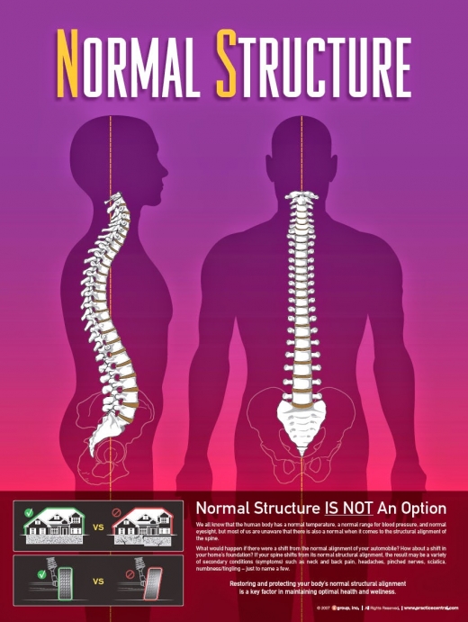 Photo by Structural Chiropractic for Structural Chiropractic