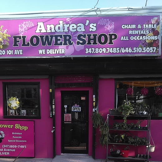 Andrea Flowers Shop in New York City, New York, United States - #1 Photo of Point of interest, Establishment, Store