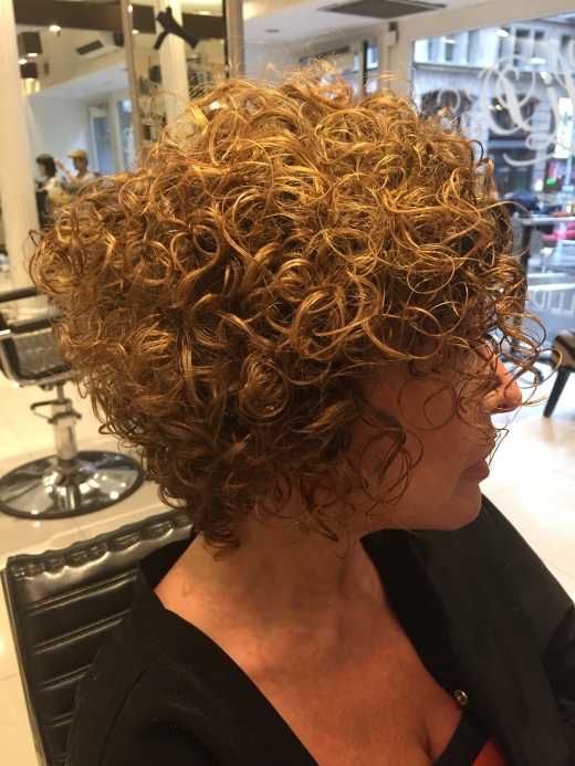 Photo by <br />
<b>Notice</b>:  Undefined index: user in <b>/home/www/activeuser/data/www/vaplace.com/core/views/default/photos.php</b> on line <b>128</b><br />
. Picture for Leslie Ellen Curly Hair Salon NYC in New York City, New York, United States - Point of interest, Establishment, Hair care