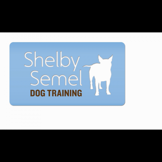 Shelby Semel Dog Training in New York City, New York, United States - #4 Photo of Point of interest, Establishment