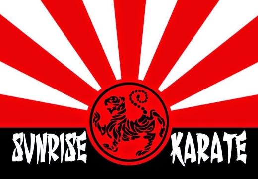 Sunrise Karate School in South Ozone Park City, New York, United States - #2 Photo of Point of interest, Establishment, Health