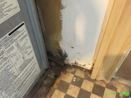 Photo by Reliable Mold Removal Svc for Reliable Mold Removal Svc