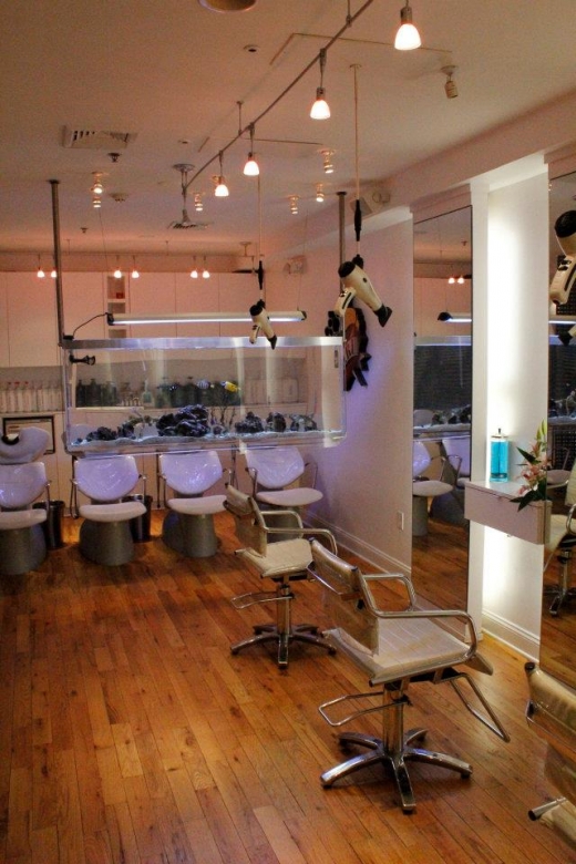 Caru LLC in Hoboken City, New Jersey, United States - #4 Photo of Point of interest, Establishment, Beauty salon