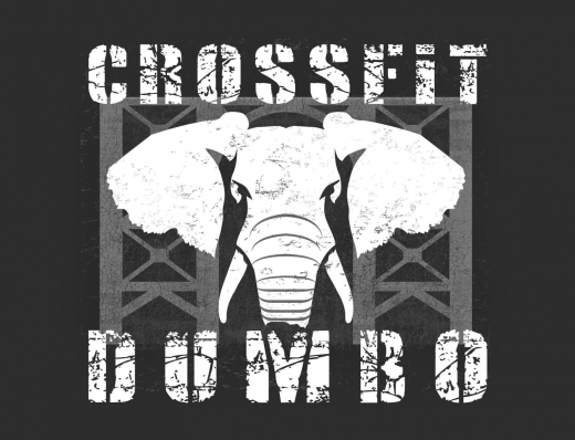 CrossFit Dumbo in Brooklyn City, New York, United States - #2 Photo of Point of interest, Establishment, Health, Gym