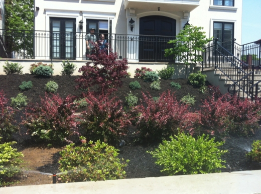 Photo by <br />
<b>Notice</b>:  Undefined index: user in <b>/home/www/activeuser/data/www/vaplace.com/core/views/default/photos.php</b> on line <b>128</b><br />
. Picture for DeSanto Landscaping & Irrigation, LLC in Kings County City, New York, United States - Point of interest, Establishment, General contractor