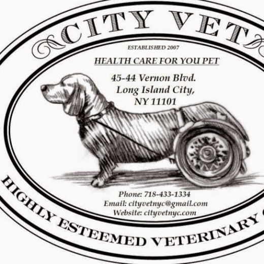 City Vet in Long Island City, New York, United States - #4 Photo of Point of interest, Establishment, Veterinary care