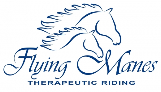 Flying Manes Therapeutic Riding, Inc. in New York City, New York, United States - #2 Photo of Point of interest, Establishment, Travel agency