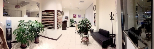 Photo by <br />
<b>Notice</b>:  Undefined index: user in <b>/home/www/activeuser/data/www/vaplace.com/core/views/default/photos.php</b> on line <b>128</b><br />
. Picture for May Flower Nails & Spa in New York City, New York, United States - Point of interest, Establishment, Health, Spa, Beauty salon, Hair care