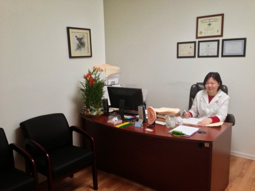 Amy Li Acupuncture Care in Queens City, New York, United States - #1 Photo of Point of interest, Establishment, Health