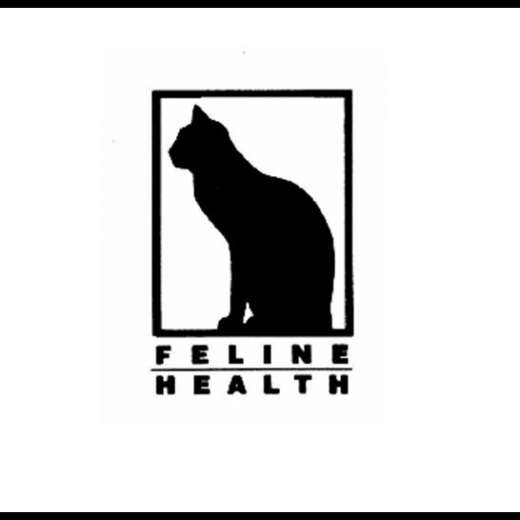 Feline Health in New York City, New York, United States - #1 Photo of Point of interest, Establishment, Veterinary care
