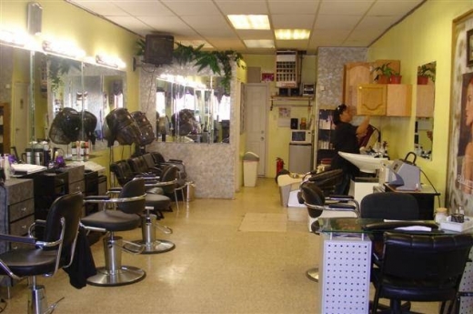 D´ALY Beauty Salon in Jamaica City, New York, United States - #3 Photo of Point of interest, Establishment, Beauty salon