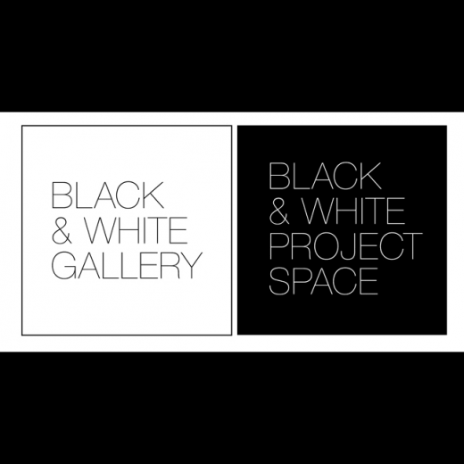Photo by <br />
<b>Notice</b>:  Undefined index: user in <b>/home/www/activeuser/data/www/vaplace.com/core/views/default/photos.php</b> on line <b>128</b><br />
. Picture for Black & White Gallery in Kings County City, New York, United States - Point of interest, Establishment, Art gallery