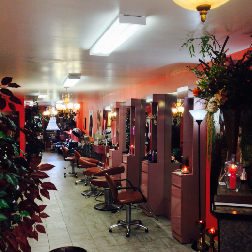 BOHEMIA INTERNATIONAL HAIR SALON in New York City, New York, United States - #2 Photo of Point of interest, Establishment, Store, Beauty salon