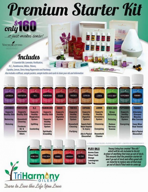 Holistic Healthy Life Guide Young Living Distributor in Franklin Square City, New York, United States - #2 Photo of Point of interest, Establishment
