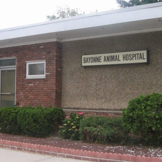Bayonne Animal Hospital in Bayonne City, New Jersey, United States - #3 Photo of Point of interest, Establishment, Veterinary care