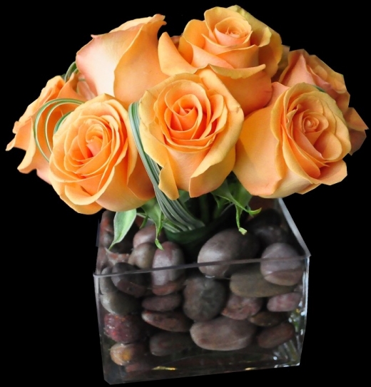 Photo by <br />
<b>Notice</b>:  Undefined index: user in <b>/home/www/activeuser/data/www/vaplace.com/core/views/default/photos.php</b> on line <b>128</b><br />
. Picture for Simcha Florists & Plant Shop in Brooklyn City, New York, United States - Point of interest, Establishment, Store, Florist