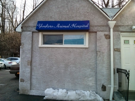 Yonkers Animal Hospital in Yonkers City, New York, United States - #1 Photo of Point of interest, Establishment, Store, Health, Veterinary care