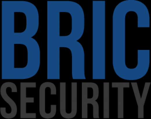 Bric Security, LLC in Port Washington City, New York, United States - #1 Photo of Point of interest, Establishment