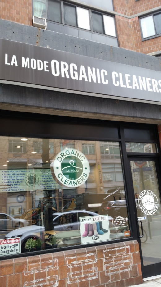Photo by Anthony DeSimone for La Mode Organic Cleaners