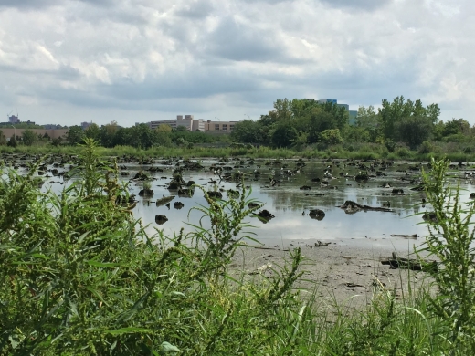 Mill Creek Marsh Trail in Secaucus City, New Jersey, United States - #4 Photo of Point of interest, Establishment, Park