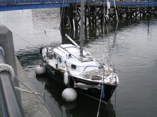 Sheepshead Bay Piers in Kings County City, New York, United States - #3 Photo of Point of interest, Establishment