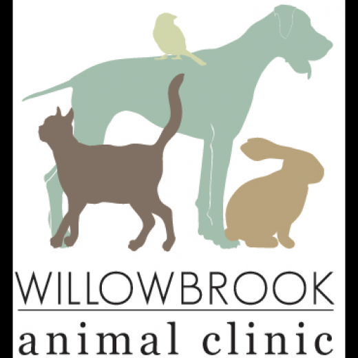 Willowbrook Animal Clinic in Fairfield City, New Jersey, United States - #2 Photo of Point of interest, Establishment, Veterinary care