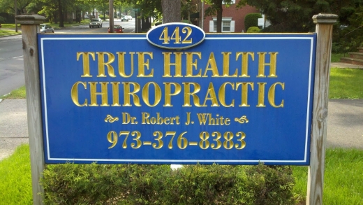 True Health Chiropractic in Springfield Township City, New Jersey, United States - #1 Photo of Point of interest, Establishment, Health