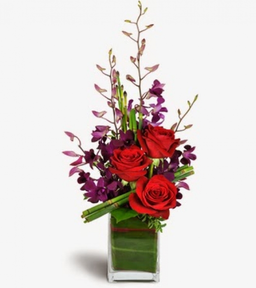Photo by <br />
<b>Notice</b>:  Undefined index: user in <b>/home/www/activeuser/data/www/vaplace.com/core/views/default/photos.php</b> on line <b>128</b><br />
. Picture for Flowers By Wild Orchid in Bronx City, New York, United States - Point of interest, Establishment, Store, Florist