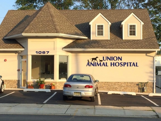 Union Animal Hospital in Union City, New Jersey, United States - #1 Photo of Point of interest, Establishment, Veterinary care