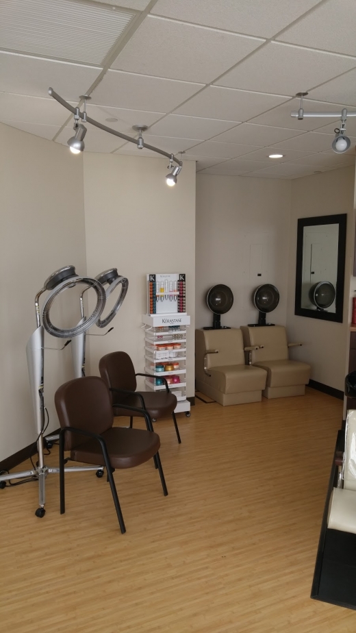 Photo by <br />
<b>Notice</b>:  Undefined index: user in <b>/home/www/activeuser/data/www/vaplace.com/core/views/default/photos.php</b> on line <b>128</b><br />
. Picture for Antonio Marino Salon in Mineola City, New York, United States - Point of interest, Establishment, Beauty salon, Hair care