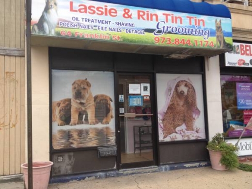 Lassie & Rin Tin Tin in Belleville City, New Jersey, United States - #3 Photo of Point of interest, Establishment