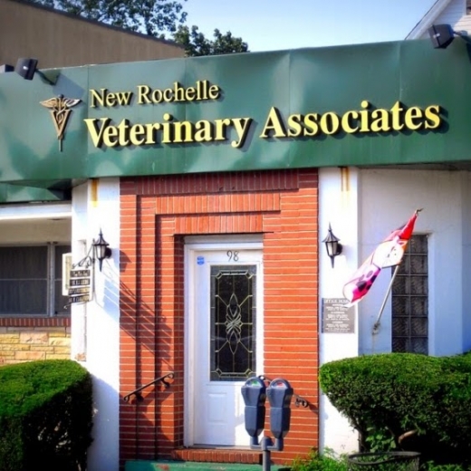 New Rochelle Animal Hospital in New Rochelle City, New York, United States - #4 Photo of Point of interest, Establishment, Veterinary care