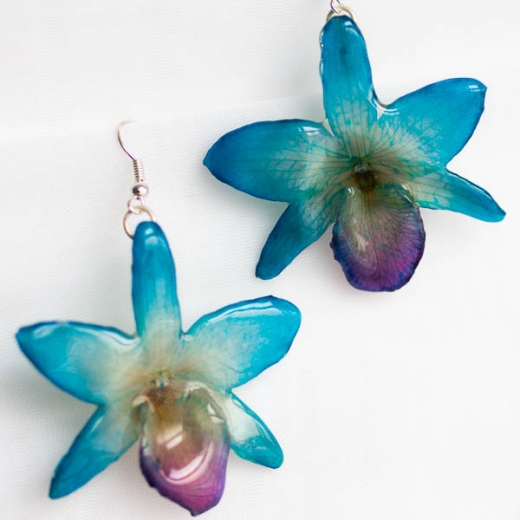 Photo by <br />
<b>Notice</b>:  Undefined index: user in <b>/home/www/activeuser/data/www/vaplace.com/core/views/default/photos.php</b> on line <b>128</b><br />
. Picture for HANAMI ORCHID JEWELRY in Brooklyn City, New York, United States - Point of interest, Establishment, Store, Jewelry store